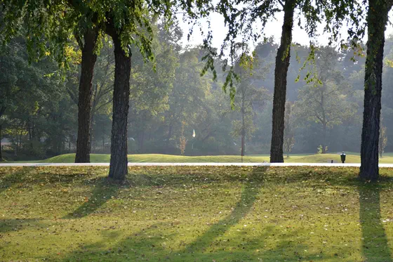 Golf Courses