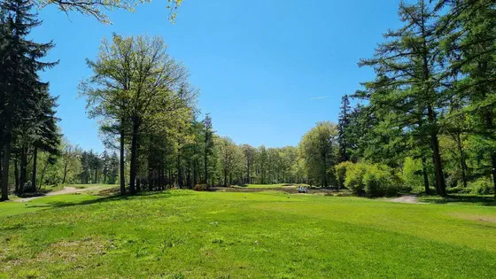 Golf Courses