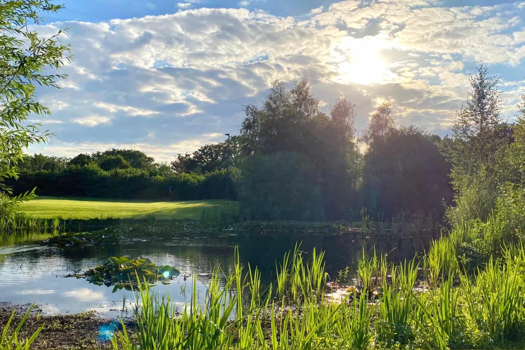 Golfbaan Het Woold