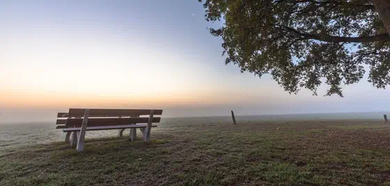 Golf Courses
