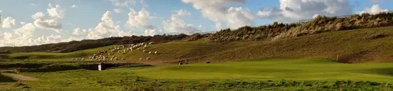 Golf Courses