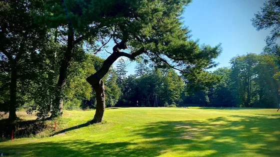 Golf Courses