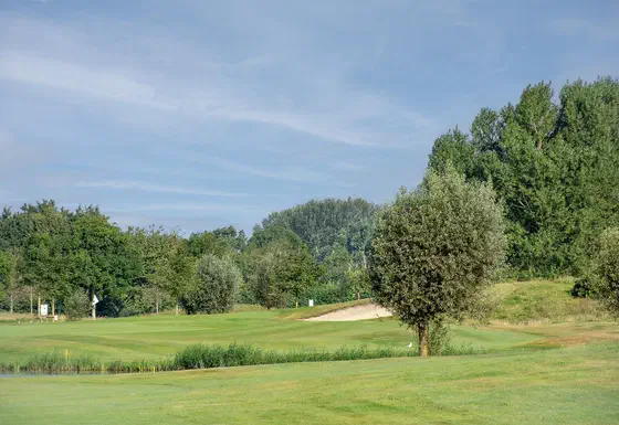 Golf Courses