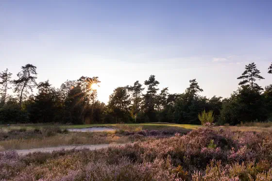 Green Fee Netherlands