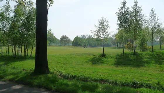 Golf Courses