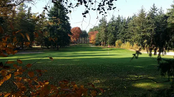 Golf Courses