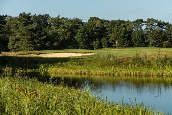 Golf Courses