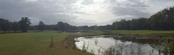 Green Fee Netherlands